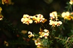 Muogamara: October 2010